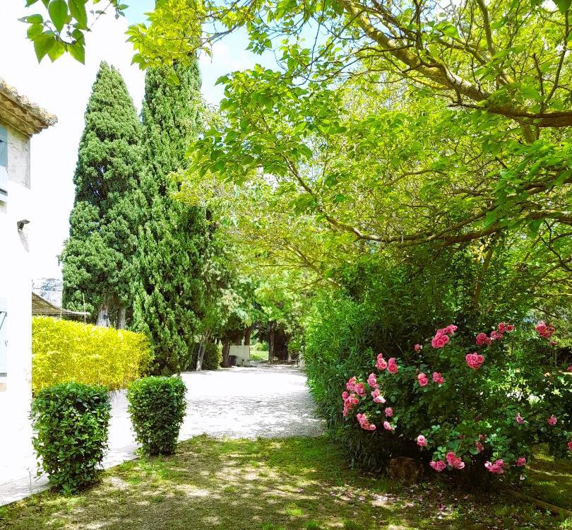 Le Mas Des Vergers Salon-de-Provence Dış mekan fotoğraf